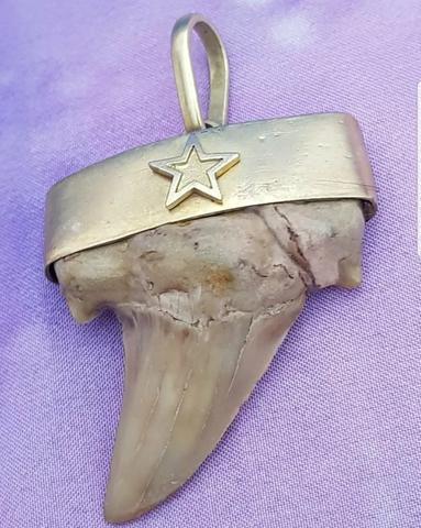 Pingente Dente de Tubarão Fossilizado Artesanal Prata Ouro Único Raro