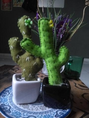 Cactus e suculentas em feltro