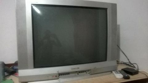 Vendo tv Panasonic com conversor digital + Som Panasonic + Alto Falante Bravox