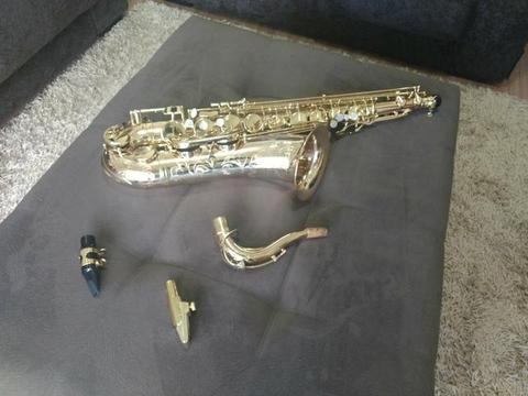 Saxofone Profissional