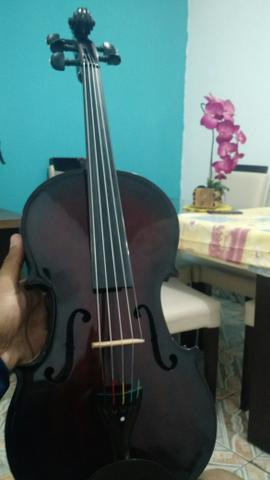 Viola-violino