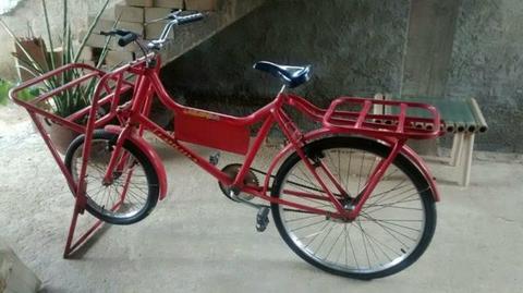 Bicicleta Cargueira