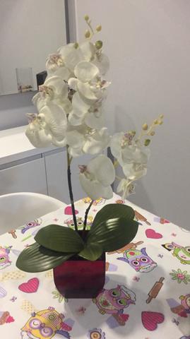 Arranjo decorativo de orquidea