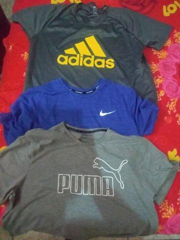 3 camisas novas tamanho G