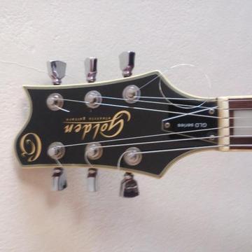 Guitarra Les Paul Golden GLD series, aceito trocas