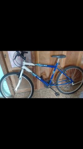 Bike mountain bike 250