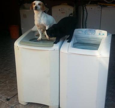 Maquina de lavar 10k