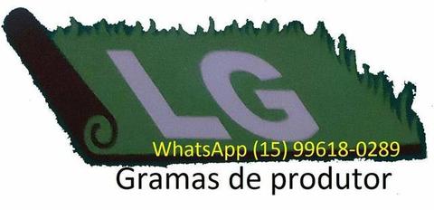 Gramas de produtor mais barato WhatsApp (15)-99618-0289