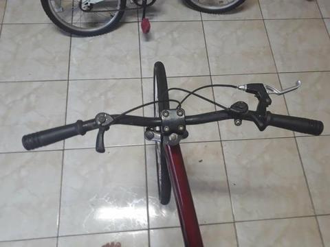 Bicicleta de marcha