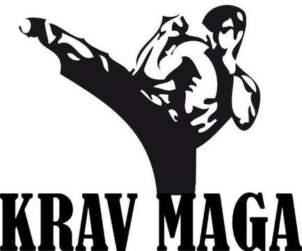 Krav Maga - Hapkido E Defesa Pessoal 3 Dvds Video