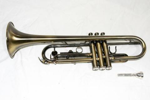 Trompete Michael Escovado Wtrm36 C/ Case