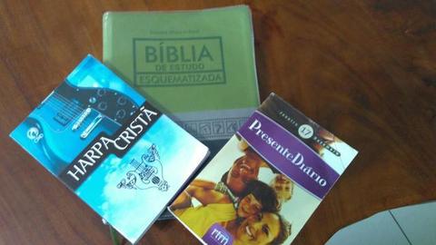 Biblia estudo nova nova