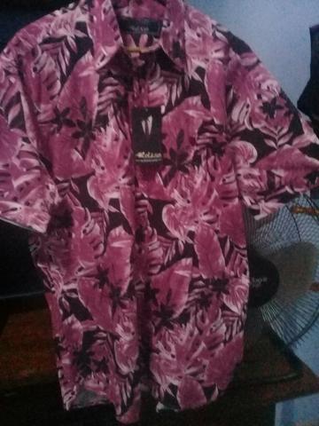 Camisa linda Florida