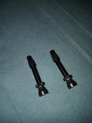 Valvula para tubless