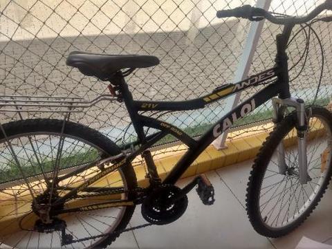 Bicicleta Caloi Adulta