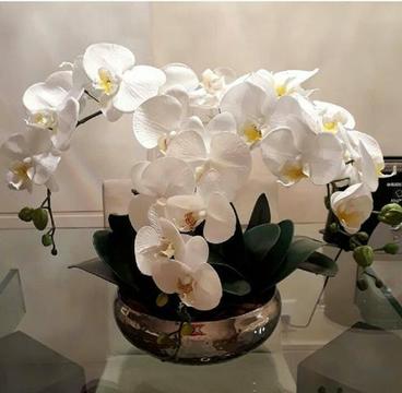 Arranjo de orquídeas