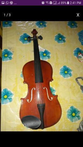 Violino