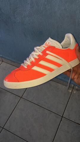 Adidas Gazelle 2017 novo