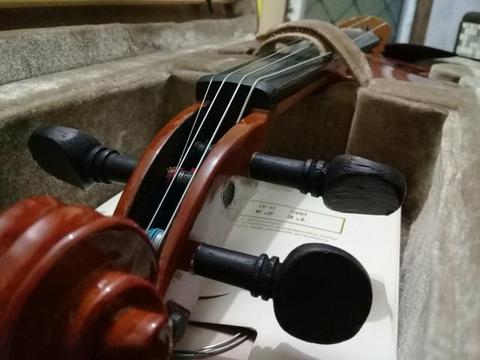 Violino novão