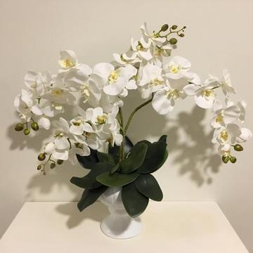 Vaso de orquídeas