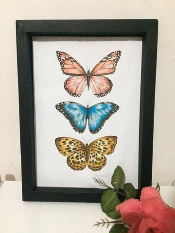 Quadro borboletas