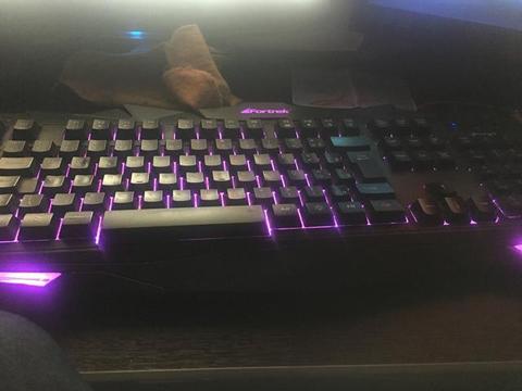 Mouse e teclado