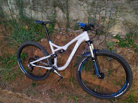 Specialized Stumpjumper FRS full 29