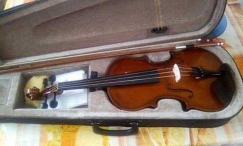 Violino profissional