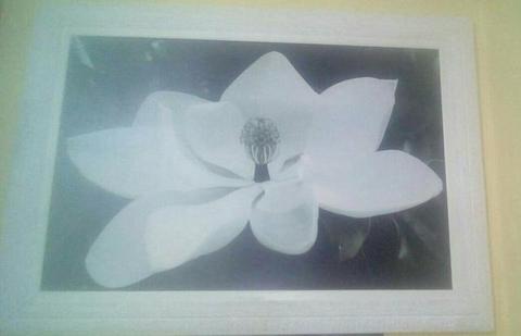 Quadro Grande Flor Em Preto e Branco